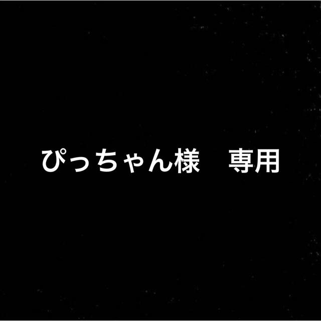 iPhone13 pro スマホ/家電/カメラのスマホアクセサリー(iPhoneケース)の商品写真