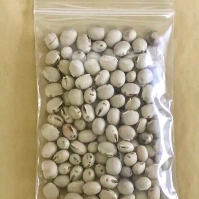 岡山県産令和3年製ムクナ豆【八升豆】 | clinicaversalles.com.pe