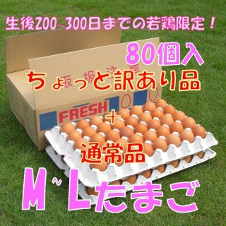 6/6発送【ちょっと訳あり品+通常品混合】M~L80個(野菜)