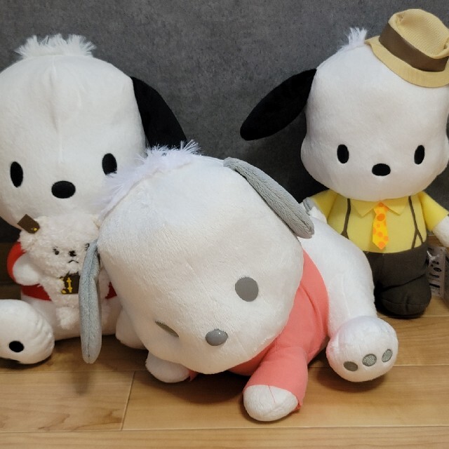 サンリオ ポチャッコ ぬいぐるみ | cirugialaservision.com