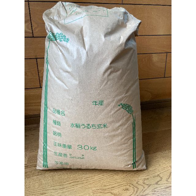 信州産コシヒカリ30ｋｇ玄米 令和３年秋収穫 - 米/穀物