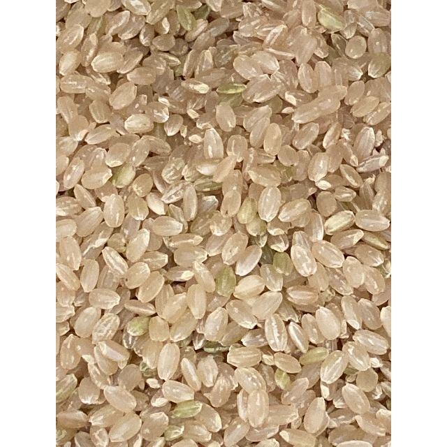 信州産コシヒカリ30ｋｇ玄米　令和３年秋収穫-