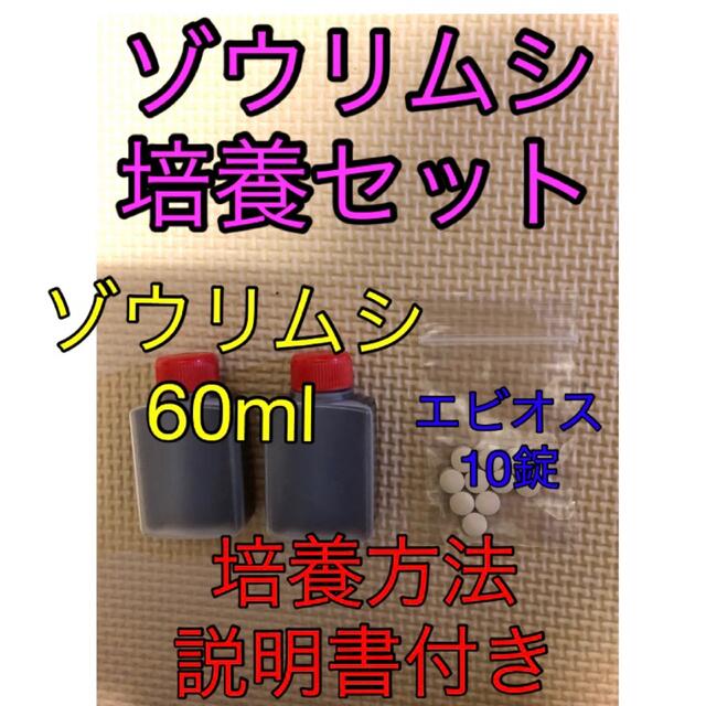 ゾウリムシ その他のペット用品(アクアリウム)の商品写真