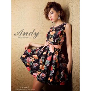 アンディ(Andy)の激レア❗️ 限定商品　フラワードレス👗💓　Andy(ミニドレス)