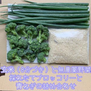 玄米（8分づき）と無農薬野菜＊採れたてブロッコリーと青ねぎの詰め合せ＊野菜セット(野菜)