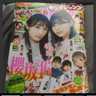 シュウエイシャ(集英社)の渡邉理佐  週刊ヤングジャンプ  20号  応募券無(アート/エンタメ/ホビー)