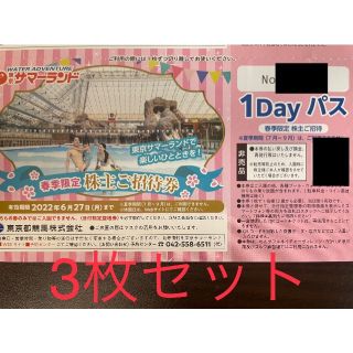 3枚セット 東京サマーランド 株主優待券 1Dayパス 6月27日期限(遊園地/テーマパーク)