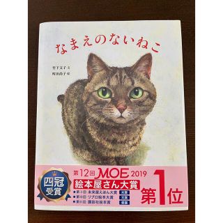 なまえのないねこ(絵本/児童書)