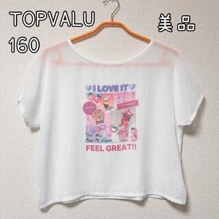 イオン(AEON)の美品【TOPVALU】160 Tシャツ カットソー 白 トップス 半袖(Tシャツ/カットソー)