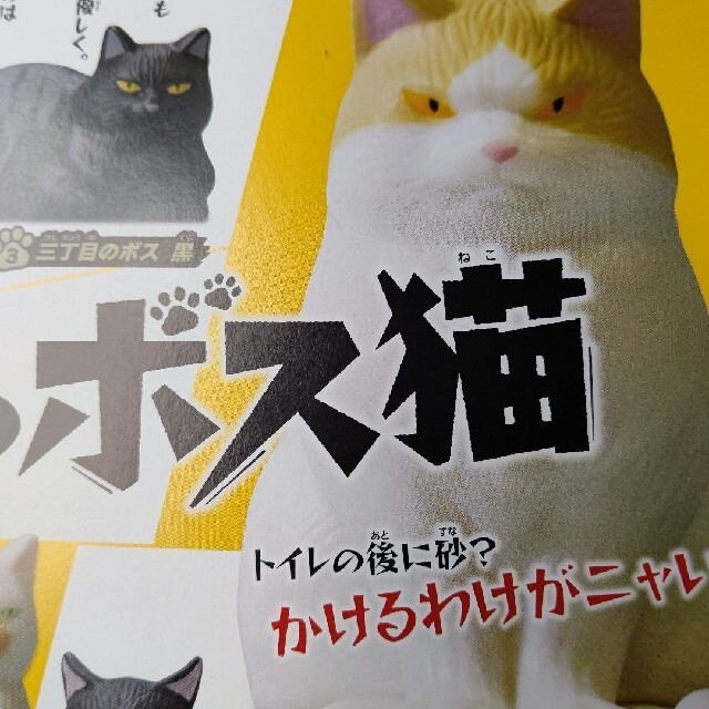 この町のボス猫 エンタメ/ホビーのフィギュア(その他)の商品写真