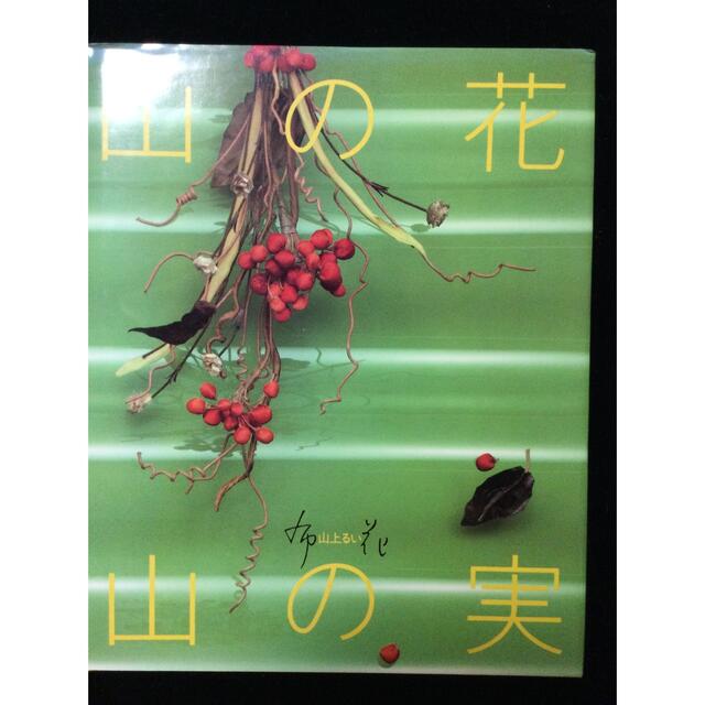 山上るい『山の花　山の実』