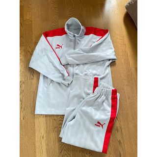 贅沢屋の PUMA プーマ ジャージ セットアップ レッド ビックロゴ