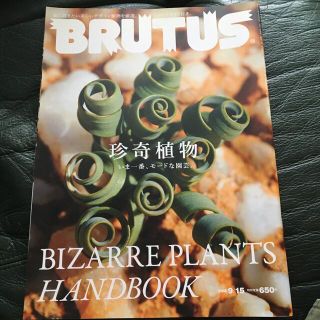 BRUTUS (ブルータス) 2015年 9/15号(その他)