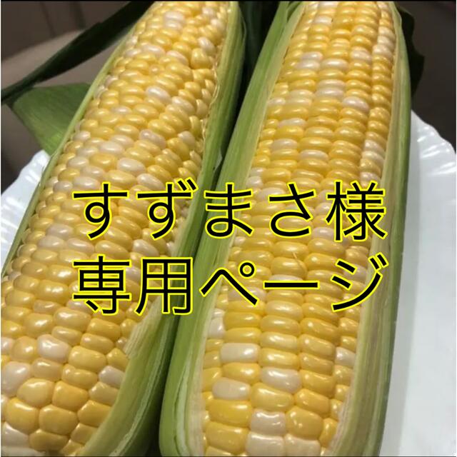 ページにな LOUIS chanri様専用ページの通販 by しょう's shop|ルイ