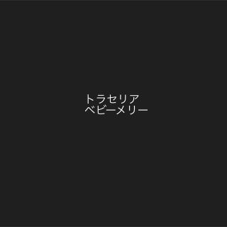 トラセリア(trousselier)のasuka様専用ページ(その他)