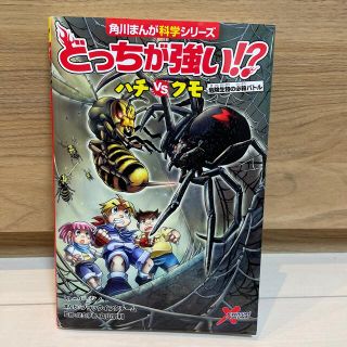 カドカワショテン(角川書店)のどっちが強い！？ハチｖｓクモ 危険生物の必殺バトル(絵本/児童書)