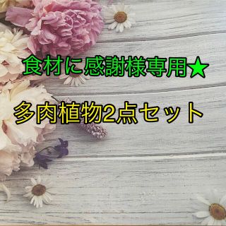 食材に感謝様専用出品です！(その他)