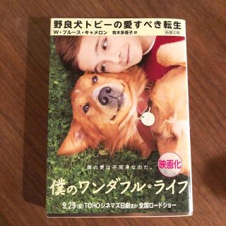 野良犬トビ－の愛すべき転生(その他)