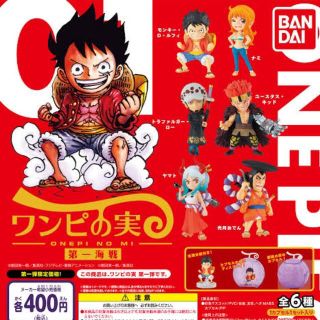 ワンピース(ONE PIECE)のワンピの実　第一海戦　光月おでん(アニメ/ゲーム)