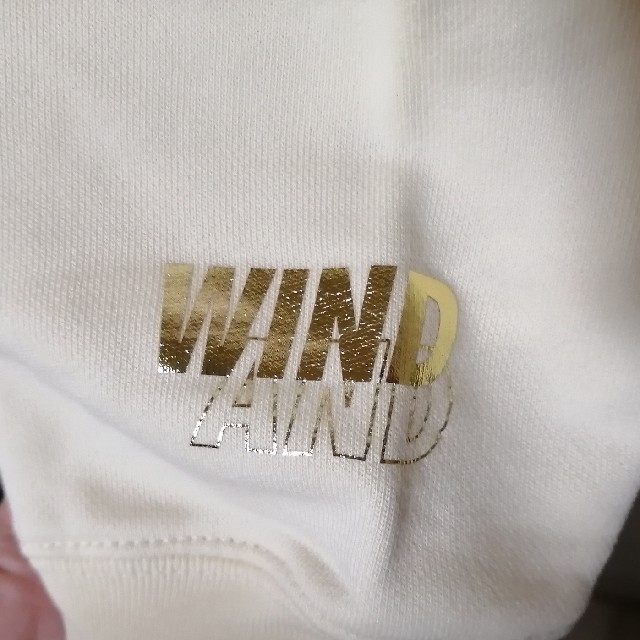 WIND AND SEA(ウィンダンシー)のwind and sea ケースティファイ　コラボパーカー メンズのトップス(パーカー)の商品写真