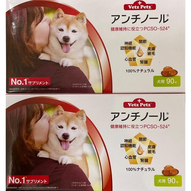 アンチノール　犬用　90粒