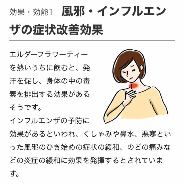 生活の木(セイカツノキ)の生活の木　おいしいハーブティー  エルダーフラワーマスカット4袋　ノンカフェイン 食品/飲料/酒の飲料(茶)の商品写真