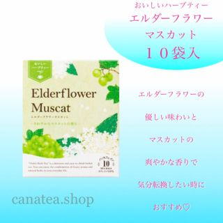 セイカツノキ(生活の木)の生活の木　おいしいハーブティー  エルダーフラワーマスカット10袋入り　お茶(茶)