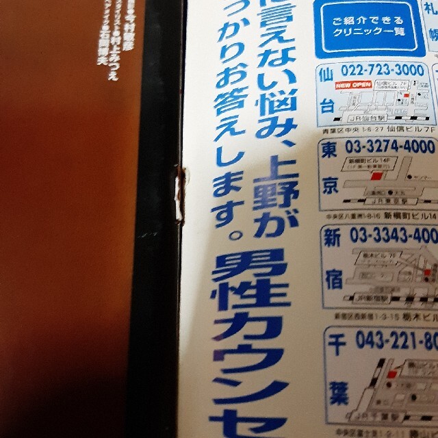 宝島社(タカラジマシャ)の宝島2000年1月20日号増刊　宝島ファイヤー 川村ひかる　その他多数 エンタメ/ホビーの雑誌(アート/エンタメ/ホビー)の商品写真