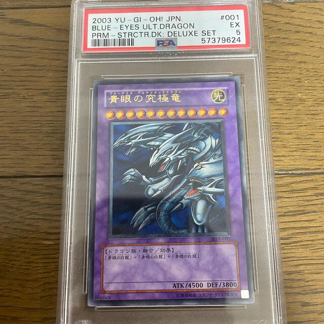 遊戯王　ブラックデーモンズドラゴン　レリーフ　PSA5