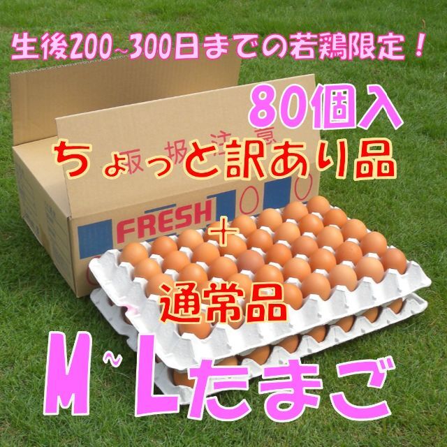 6/17発送【ちょっと訳あり品+通常品混合】M~L80個 食品/飲料/酒の食品(野菜)の商品写真