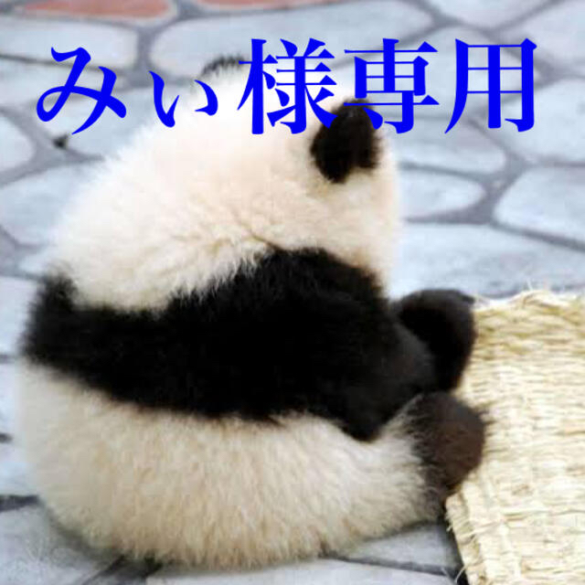 ポケモン折り紙