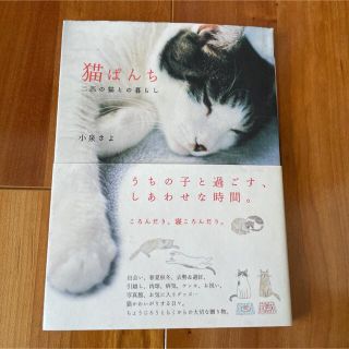 「猫ぱんち : 二匹の猫との暮らし」 小泉 さよ(その他)