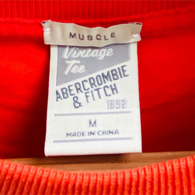 Abercrombie&Fitch(アバクロンビーアンドフィッチ)のアバクロ Tシャツ メンズ Mサイズ メンズのトップス(Tシャツ/カットソー(半袖/袖なし))の商品写真
