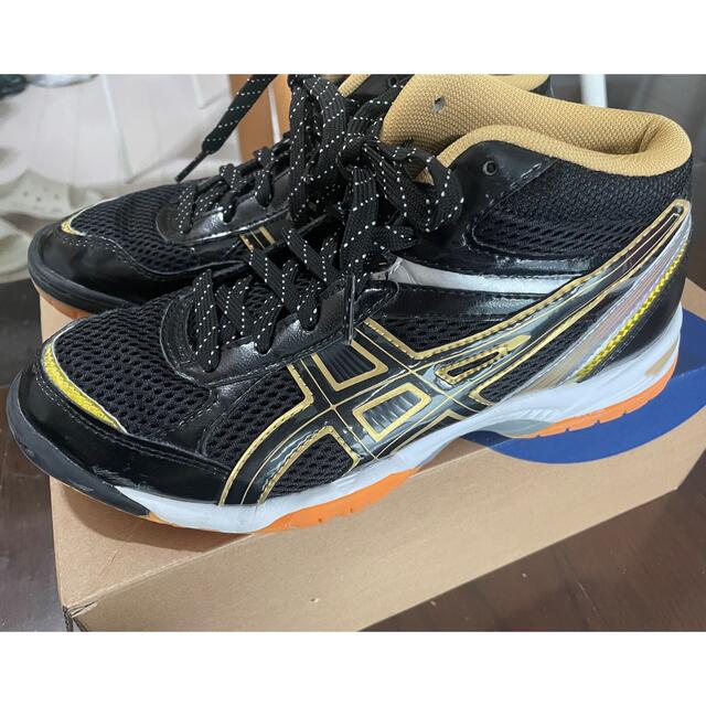 asics(アシックス)のasicsバレーボールシューズ23㎝ スポーツ/アウトドアのスポーツ/アウトドア その他(バレーボール)の商品写真