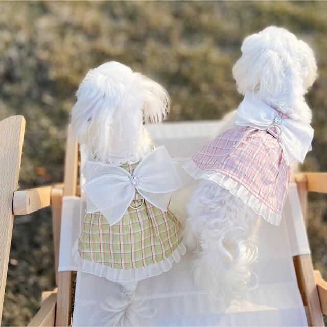 犬服　ペット服　ドッグウェア　可愛い　オシャレ　犬用品　ワンピース　ハーネス その他のペット用品(犬)の商品写真