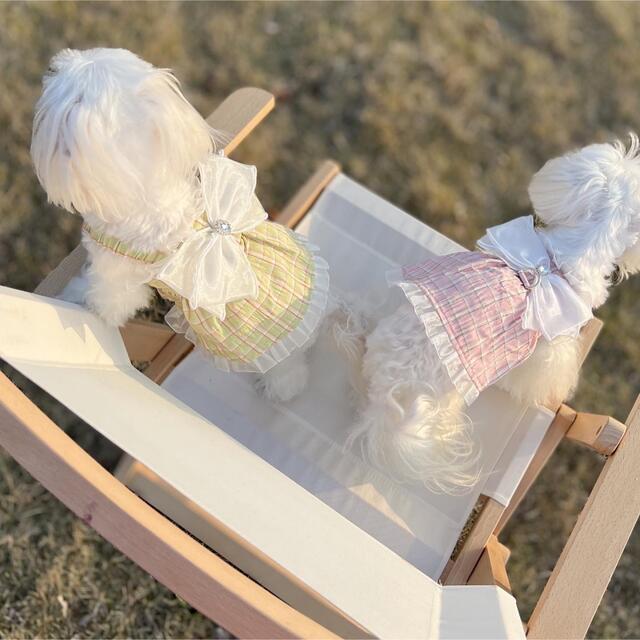 犬服　ペット服　ドッグウェア　可愛い　オシャレ　犬用品　ワンピース　ハーネス その他のペット用品(犬)の商品写真