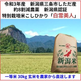 令和3年　新潟県三条市しただ産　減農薬特別栽培米コシヒカリ玄米30kg 白雪美人(米/穀物)