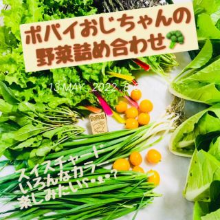 ポパイおじちゃんの野菜6/7(火)発送80size茨城県産(野菜)