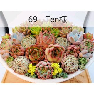 69　Ten様(その他)