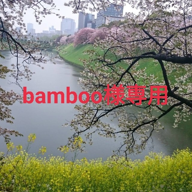 bamboo 様専用 【SALE】 www.bhlcompany.com
