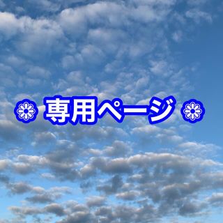 大量用 240ｇ お得な2点セット(その他)