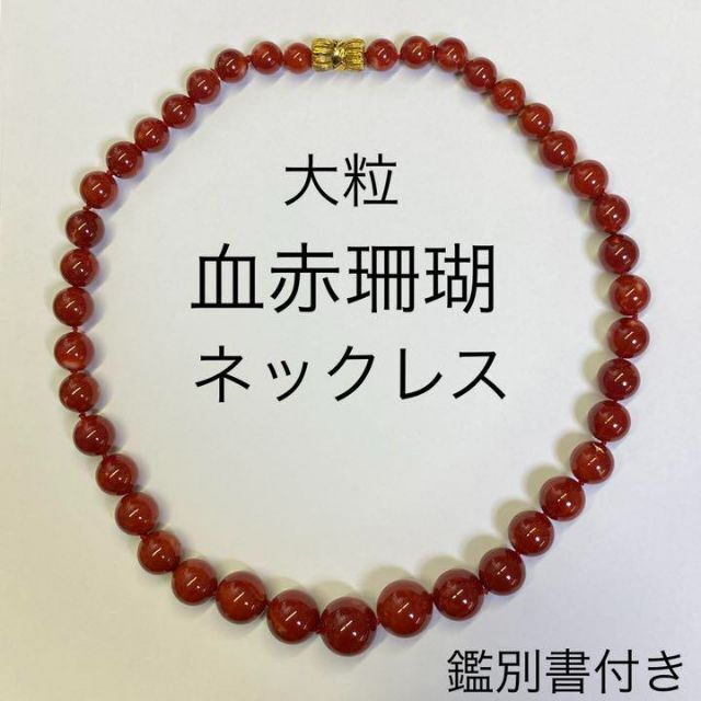 大粒 血赤珊瑚ネックレス K18 高品質 中央宝石研究所鑑別書付き さんご