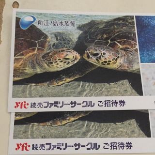 新江ノ島水族館 招待券 2枚(水族館)