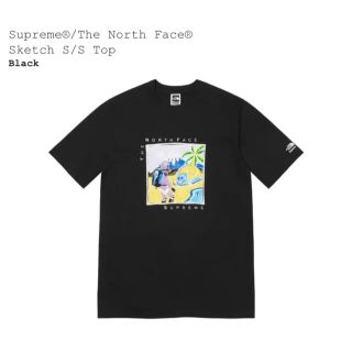 シュプリーム(Supreme)のsupreme north tee tnf (Tシャツ/カットソー(半袖/袖なし))