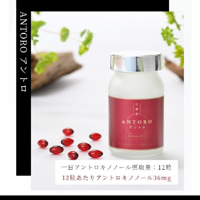 ダラダラ様専用 アントロキノノール ブティック www.toyotec.com