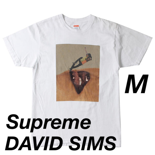 2015FW非売品Supreme/DAVID SIMS Tシャツ　Mサイズ　美品