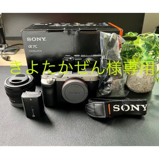 ソニー(SONY)のきよたかぜん様専用(ミラーレス一眼)