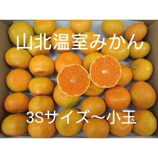 山北温室みかん 極早生 3S～小玉 1㎏ 高知県産 宅配便コンパクト(フルーツ)