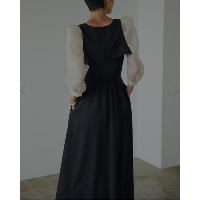 CLIONE SLEEVE DRESS
