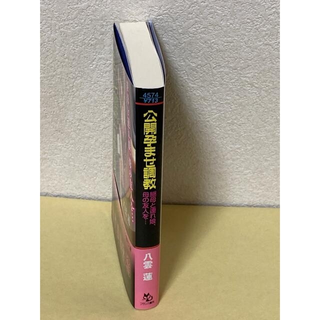 公開孕ませ調教 継母と連れ娘、母の友人を・・・　三穴孕ませ　２冊 あやぱん様用 エンタメ/ホビーの本(文学/小説)の商品写真